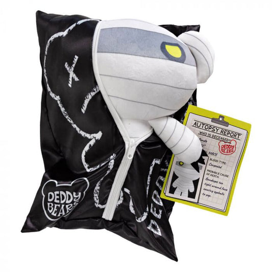 Deddy Bear Plush in a Bag - Bundle